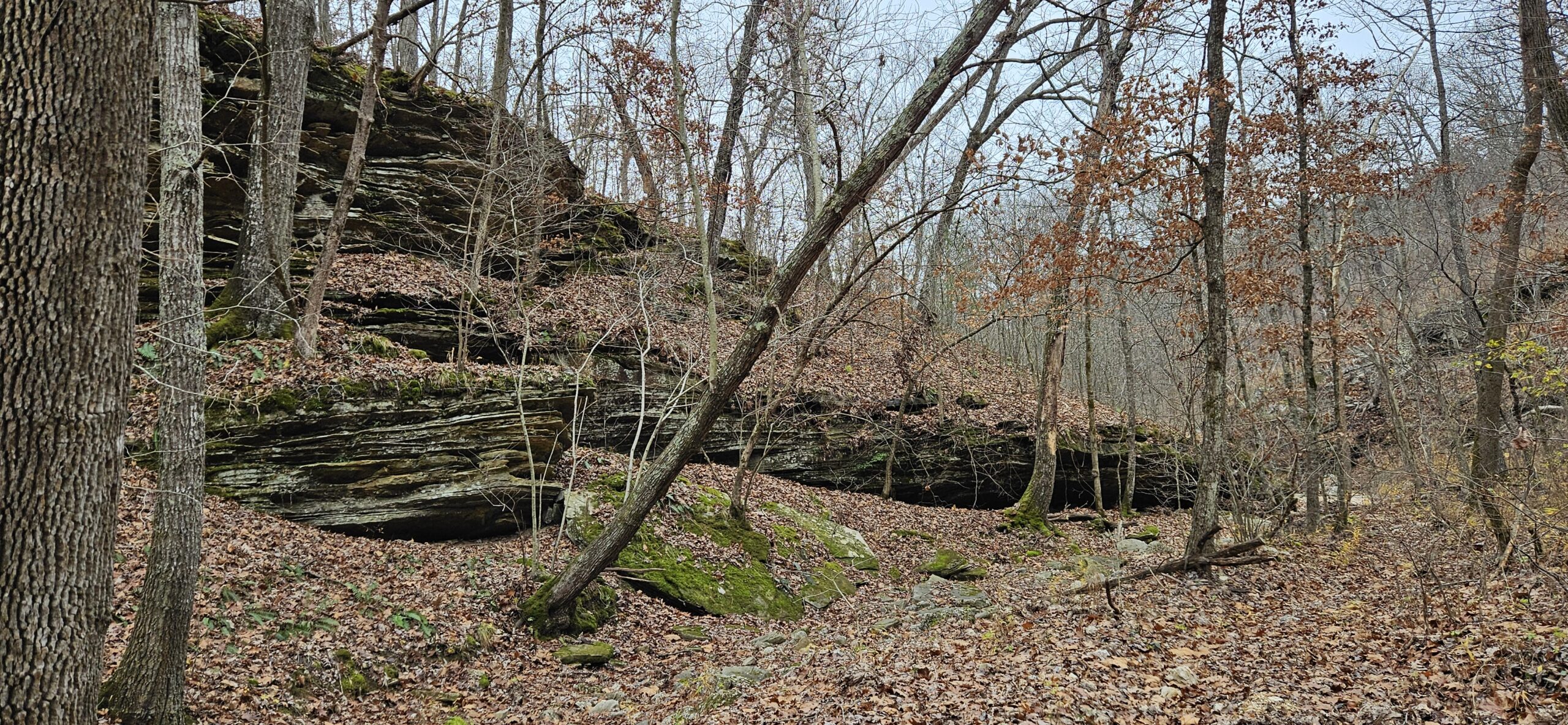 Acorn – Devil’s Kitchen – Turkey Penn Hollow