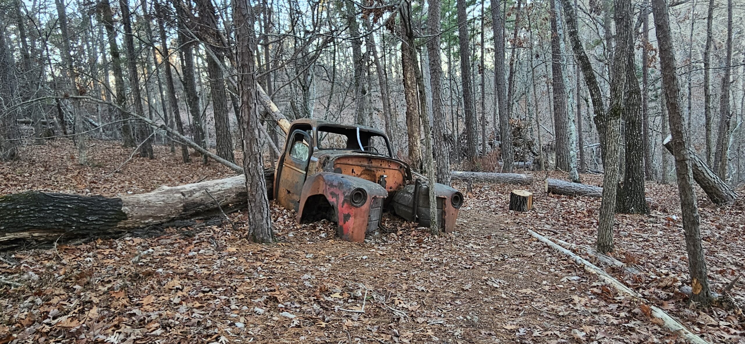 Bashore Ridge Loop – Dutton Hollow Loop – Historic Van Winkle Trail – Sinking Stream Trail