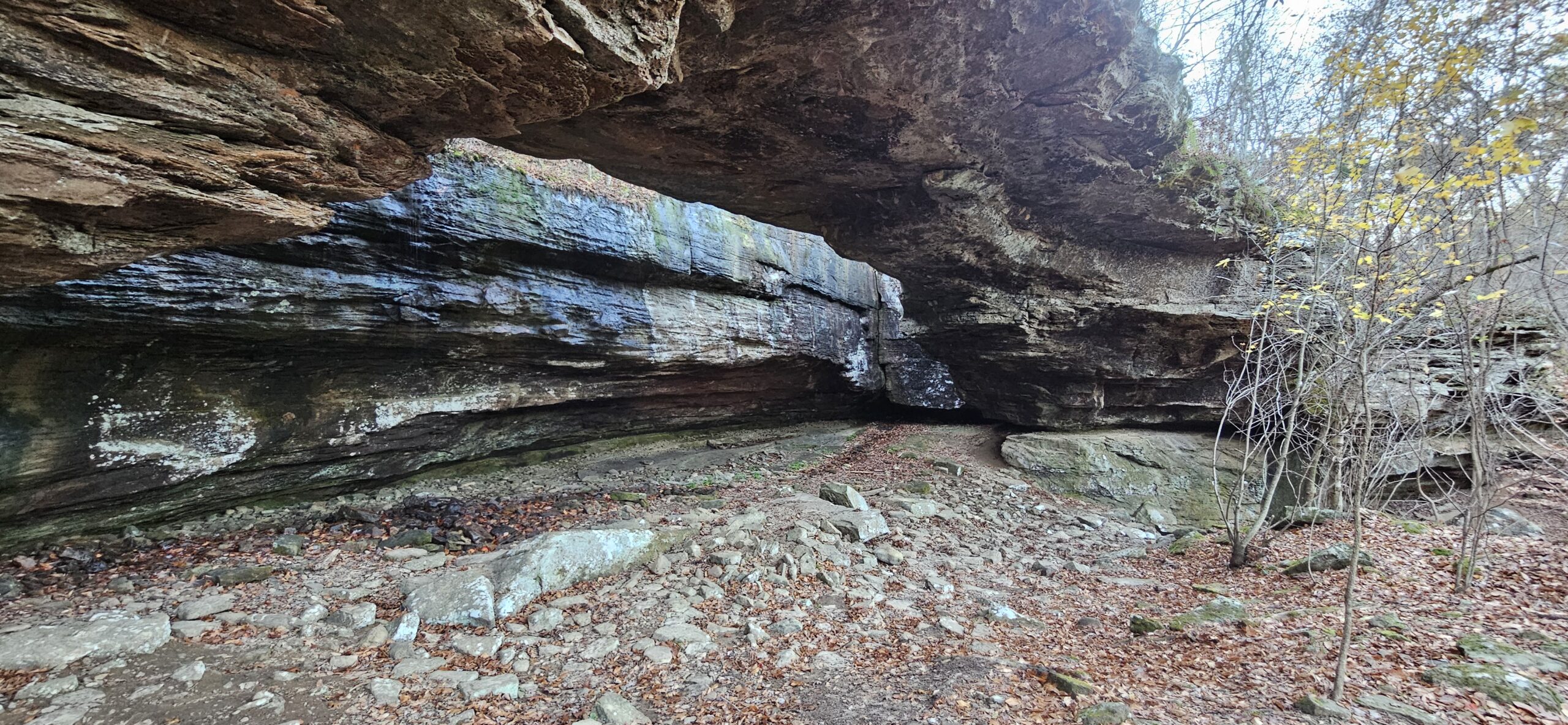 Alum Cove Natural Bridge